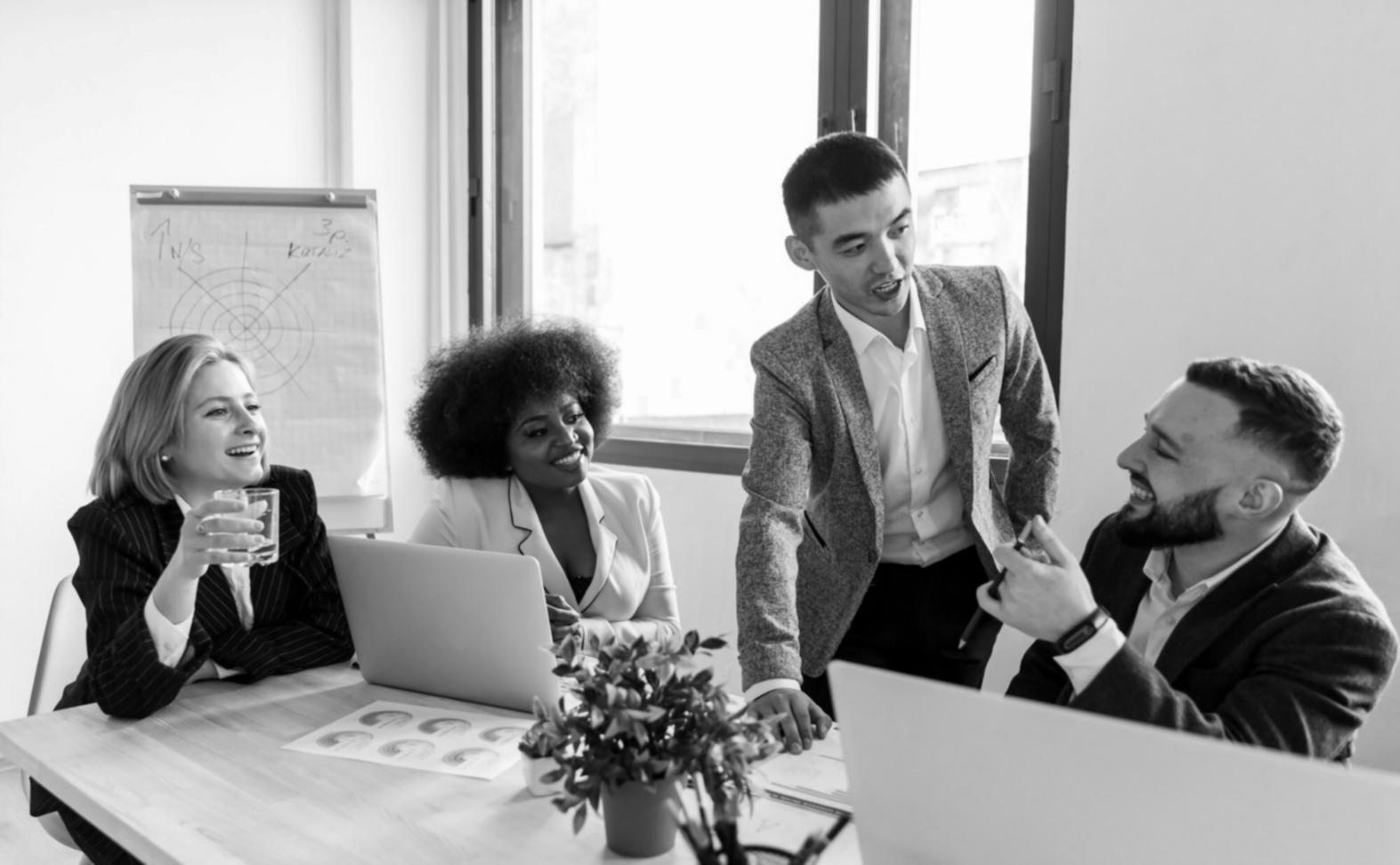 Entorno de planificación y análisis de diversificación de negocios